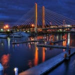 SR 509 Cable Bridge